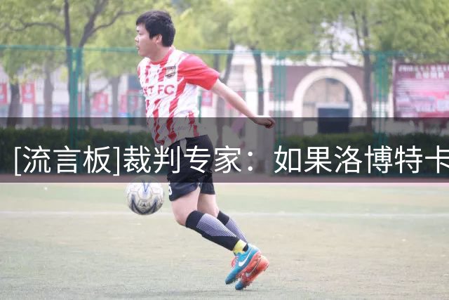 [流言板]裁判专家：如果洛博特卡确实手碰到球就是点球，但没有证据